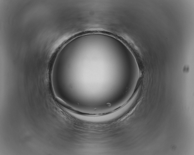 X0000090921167200707301527