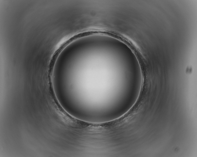 X0000090921168200707301527