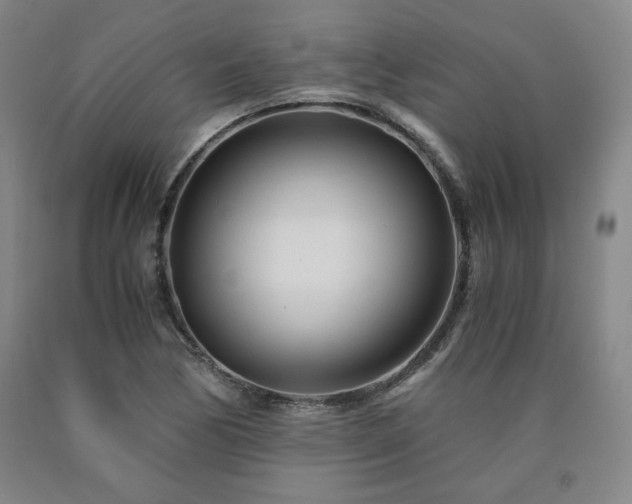 X0000090921170200707301527
