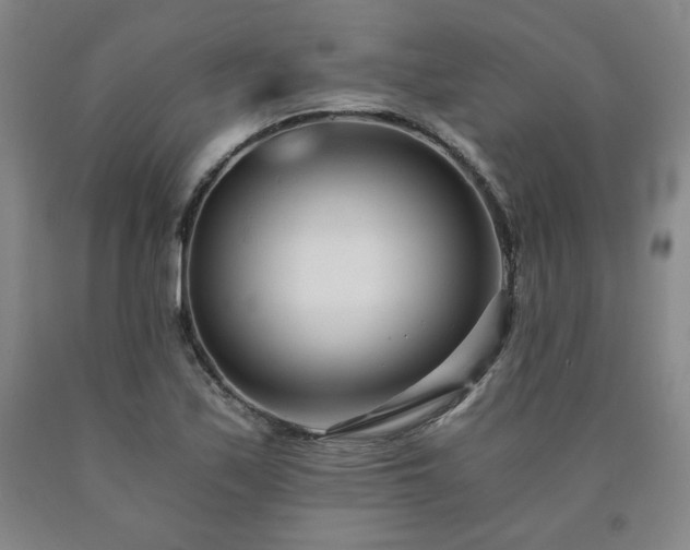 X0000090921171200707301527