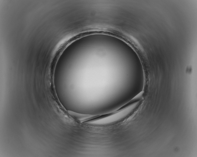 X0000090921172200707301527