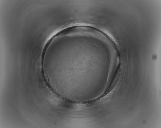X0000090921173200707301527