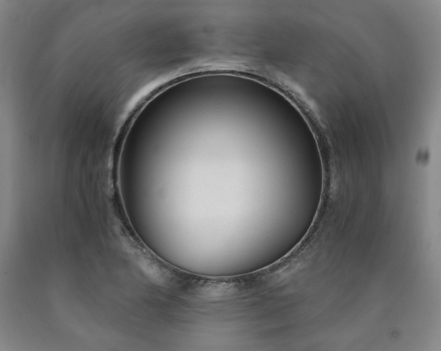 X0000090921174200707301527
