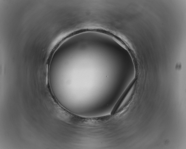 X0000090921175200707301527