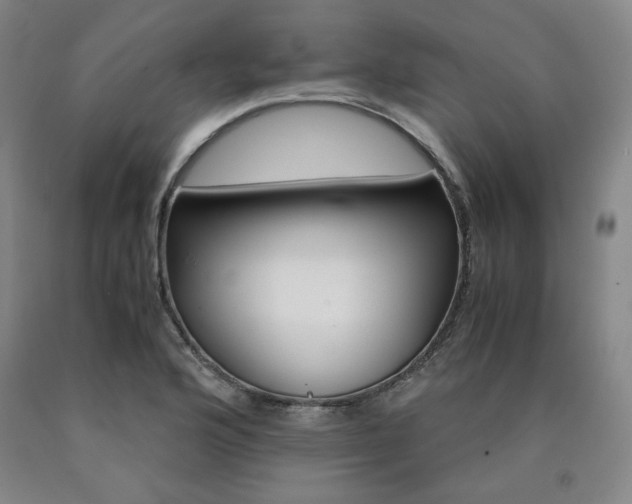 X0000090921176200707301527