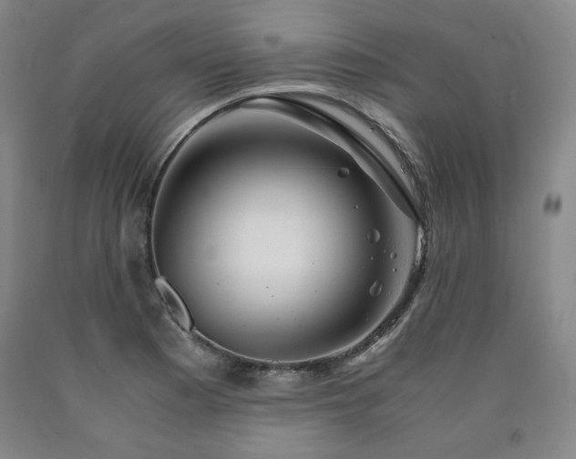 X0000090921177200707301527
