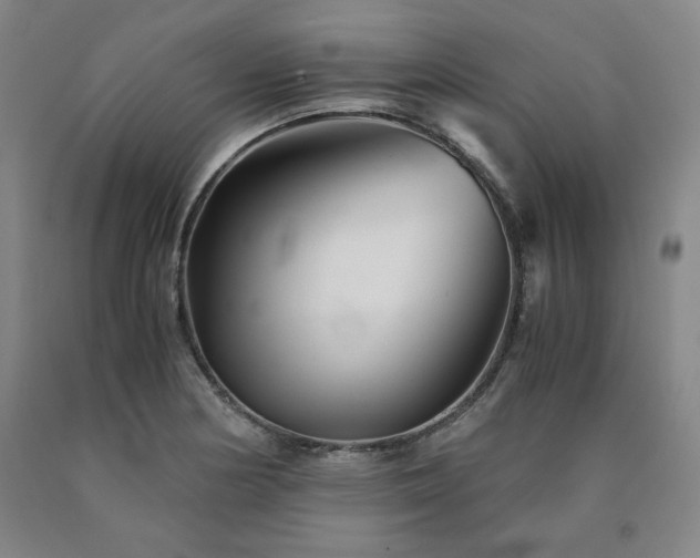X0000090921178200707301527
