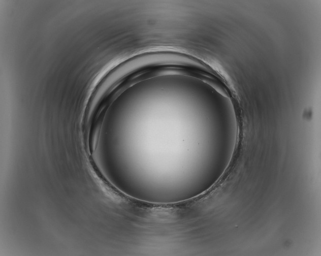 X0000090921181200707301527
