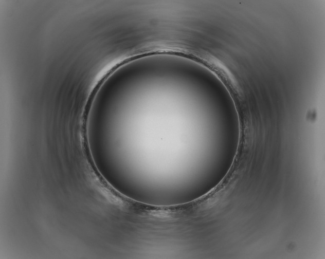 X0000090921182200707301527