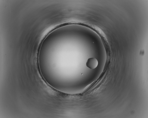 X0000090921183200707301527