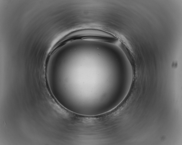X0000090921184200707301527