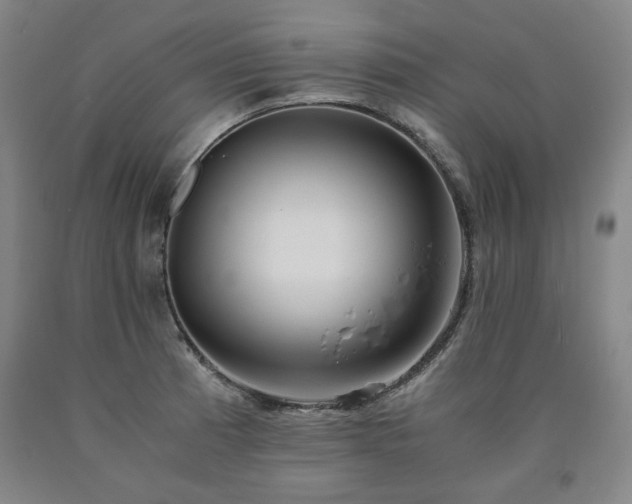 X0000090921185200707301527