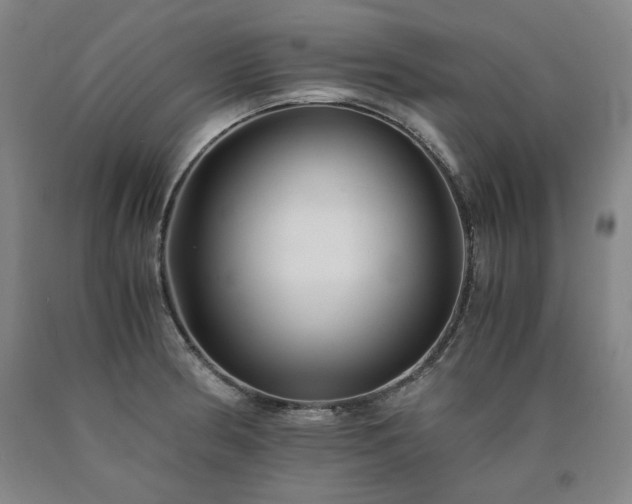 X0000090921186200707301527