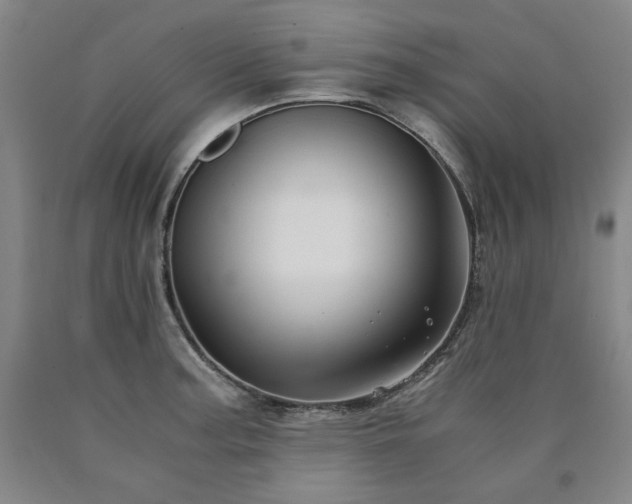 X0000090921187200707301527