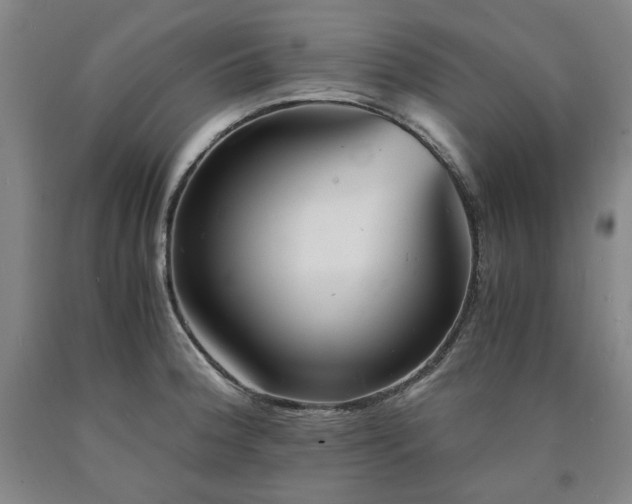 X0000090921188200707301527