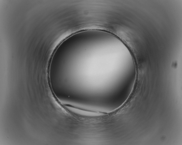 X0000090921189200707301527