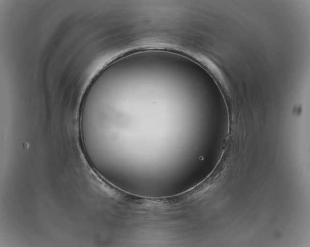 X0000090921191200707301527