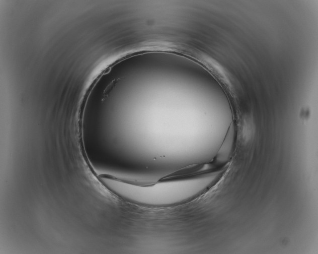 X0000090921192200707301527