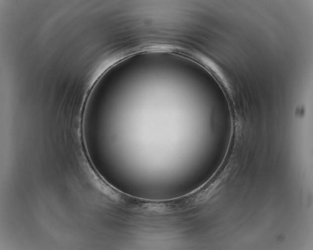 X0000090921194200707301527