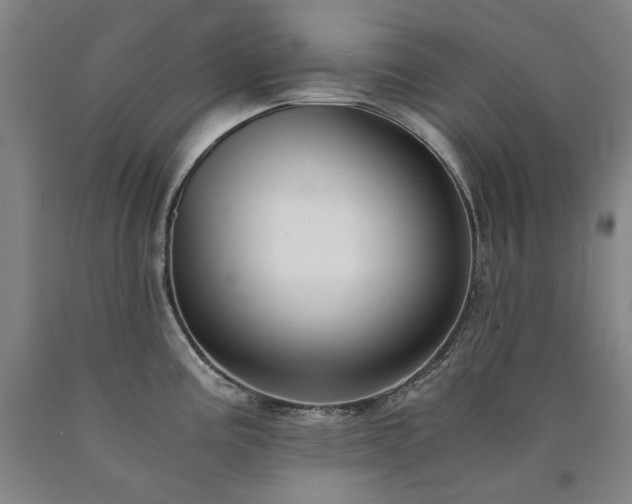 X0000090921195200707301527