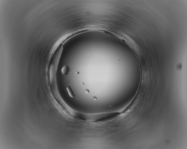 X0000090921196200707301527