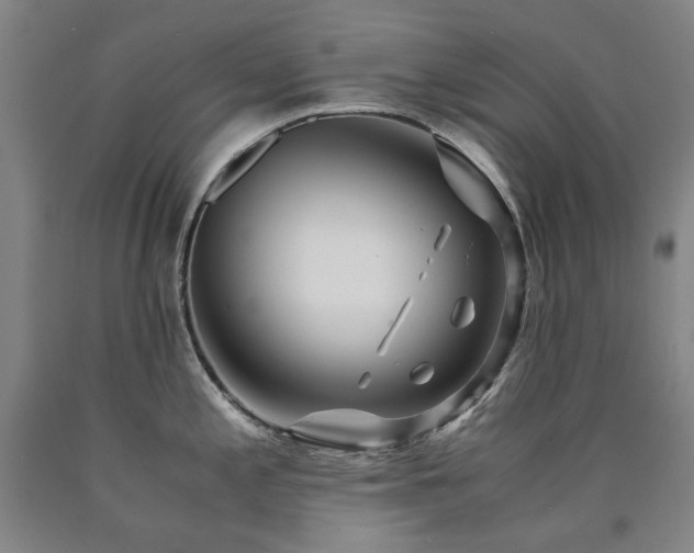 X0000090921197200707301526