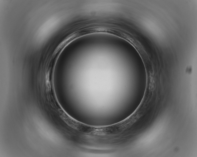 X0000090921198200707301526