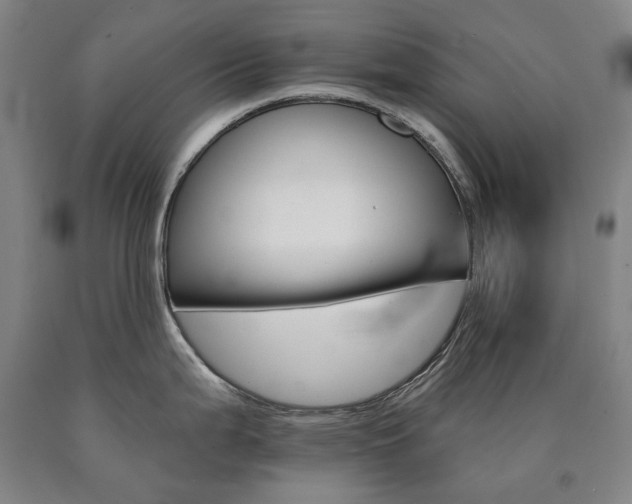 X0000090921199200707301526