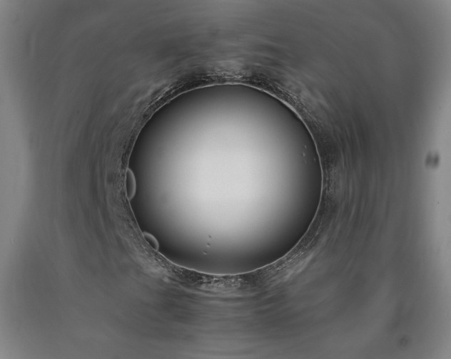 X0000090921201200707301526