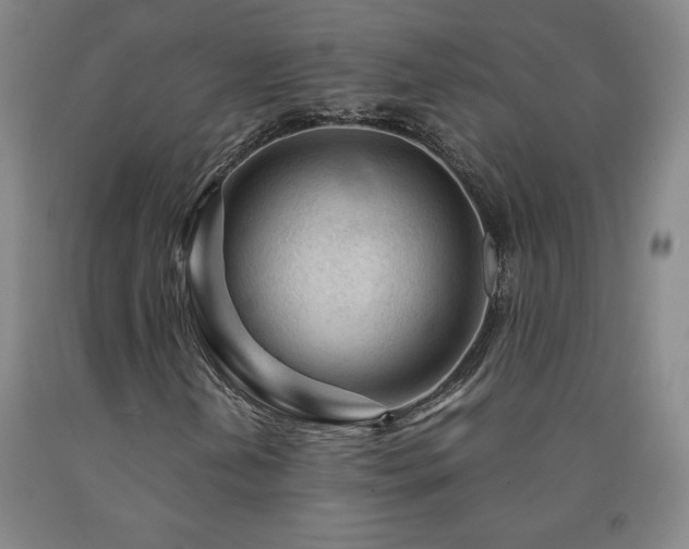 X0000090921202200707301526