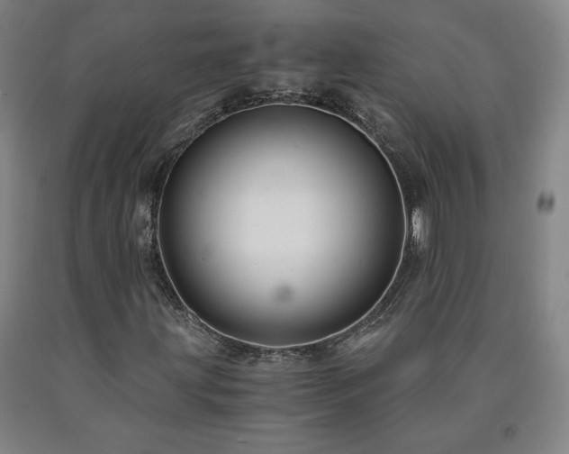 X0000090921203200707301526