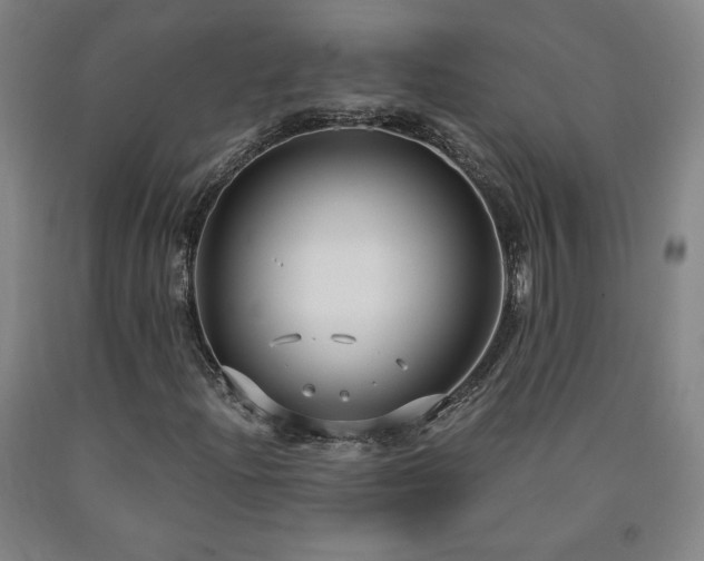 X0000090921204200707301526