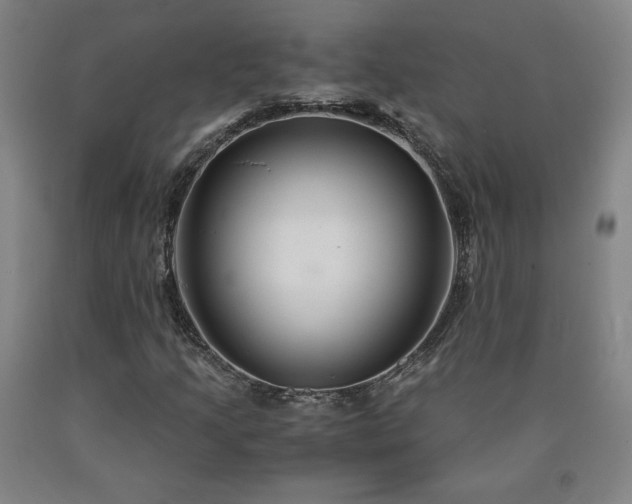X0000090921205200707301526