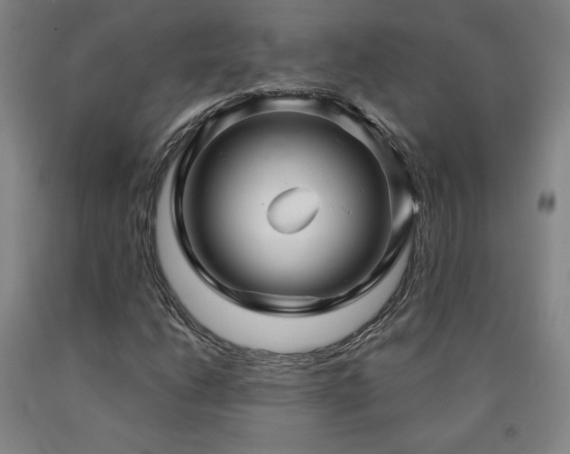 X0000090921206200707301526