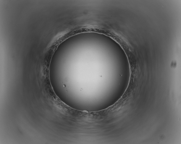 X0000090921207200707301526