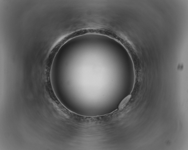 X0000090921208200707301526