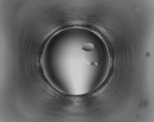 X0000090921209200707301526