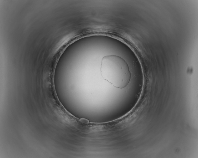 X0000090921211200707301526