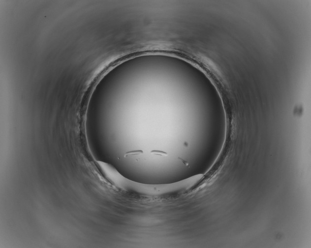 X0000090921212200707301526