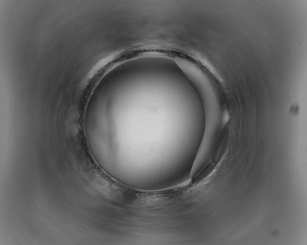 X0000090921213200707301526