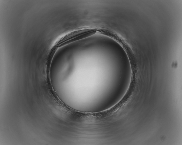 X0000090921214200707301526