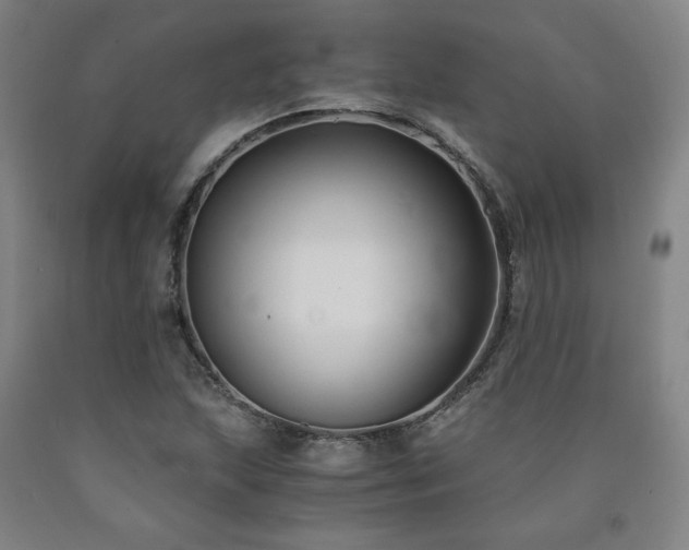 X0000090921215200707301526