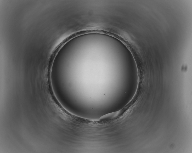 X0000090921216200707301526