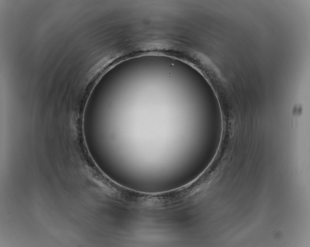 X0000090921217200707301526