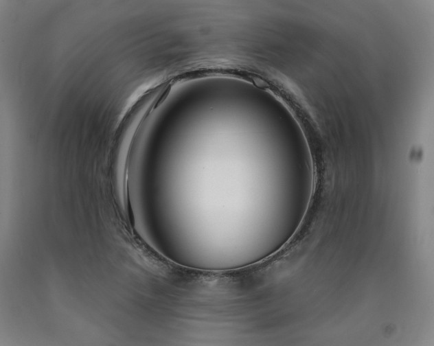 X0000090921218200707301526