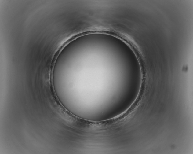 X0000090921220200707301526