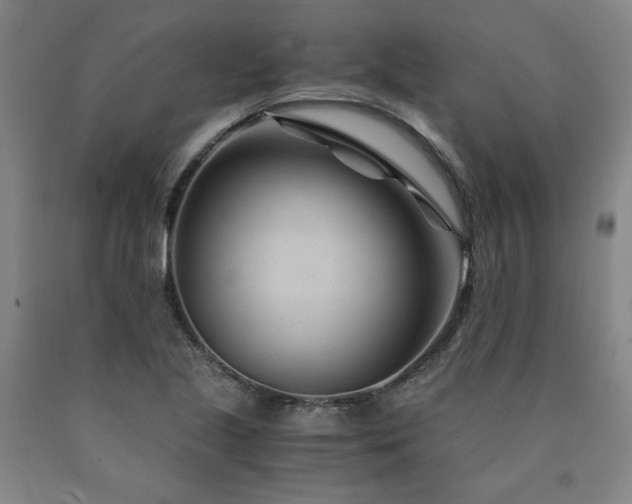 X0000090921221200707301526