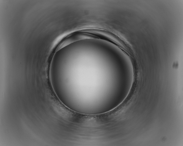 X0000090921222200707301526