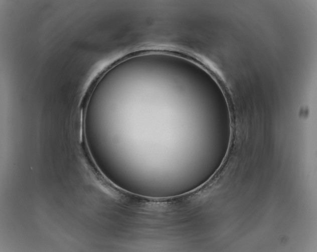 X0000090921223200707301526