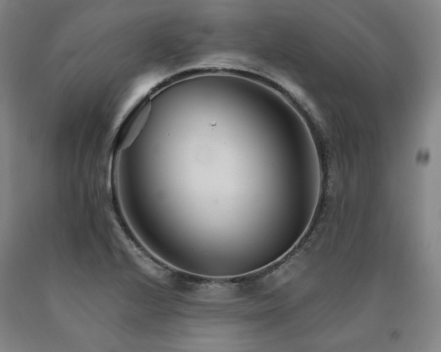 X0000090921224200707301526